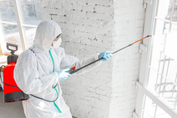 Best Mold Odor Removal Services  in Deep River Center, CT